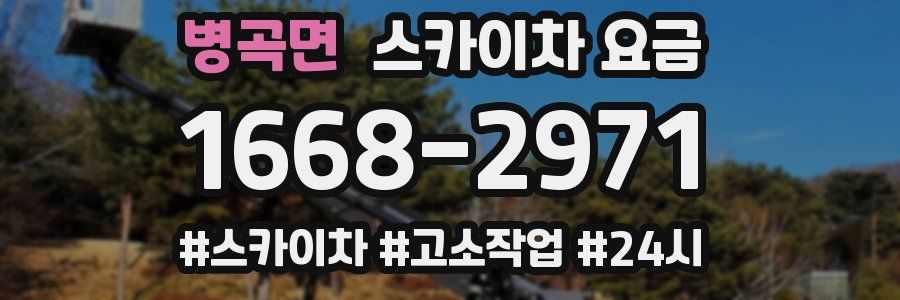 병곡면 스카이차 요금