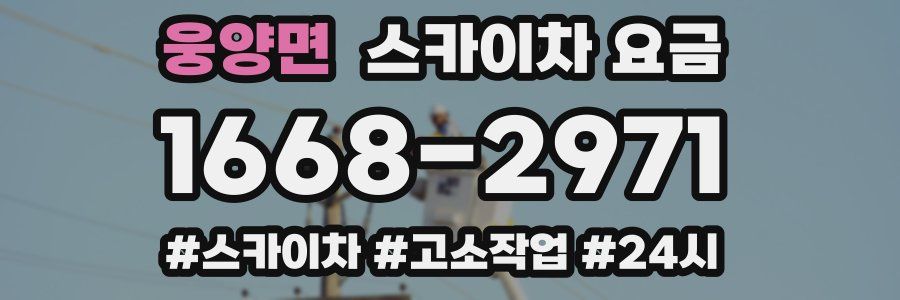 웅양면 스카이차 요금