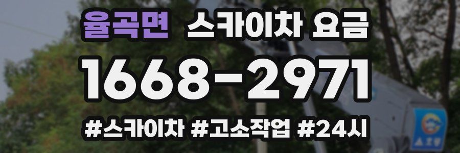 율곡면 스카이차 요금