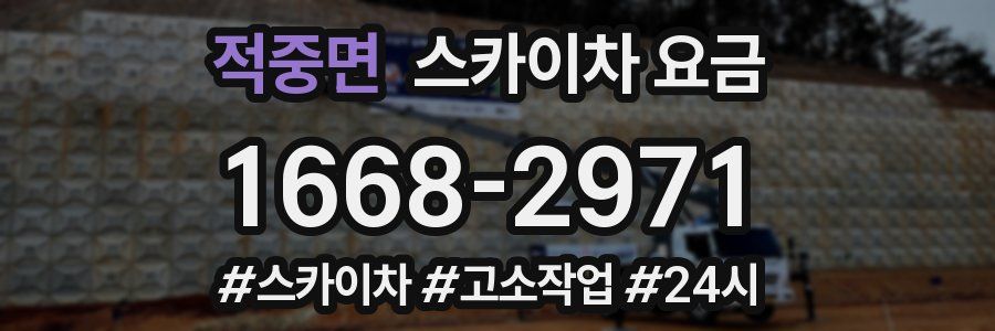 적중면 스카이차 요금