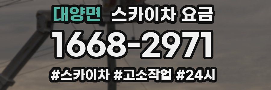 대양면 스카이차 요금