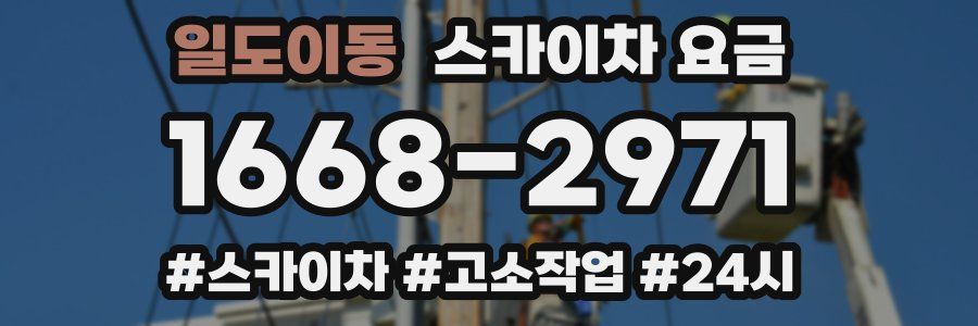 일도이동 스카이차 요금