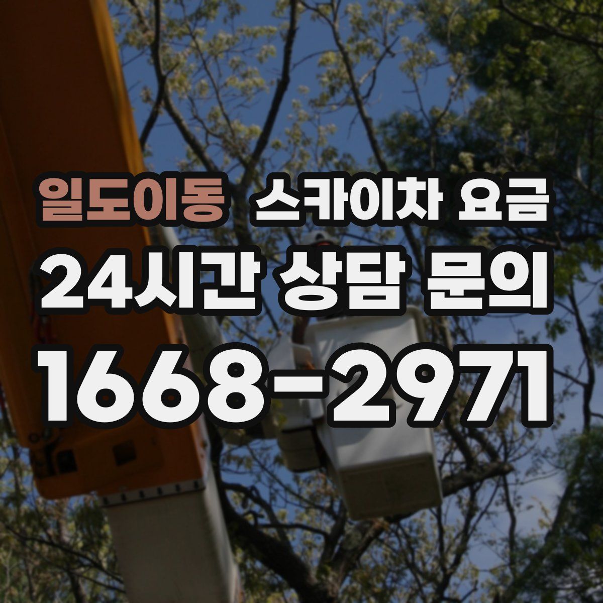 일도이동 스카이차 요금