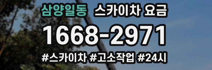 삼양일동 스카이차 요금