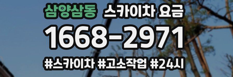 삼양삼동 스카이차 요금
