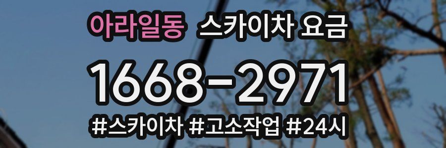 아라일동 스카이차 요금