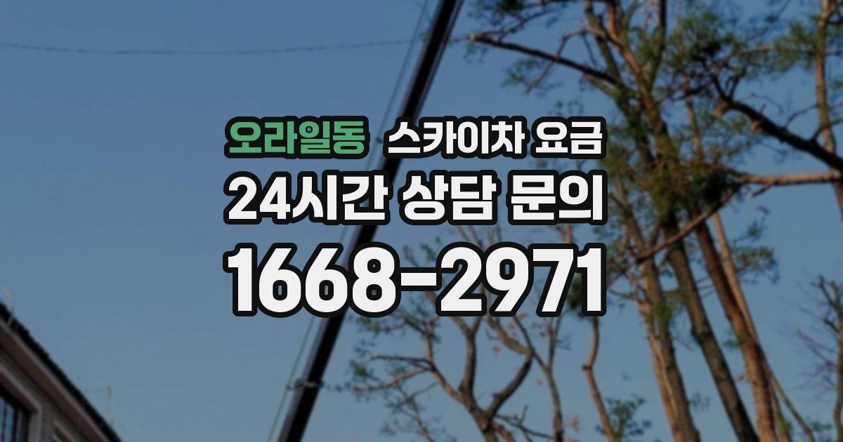 오라일동 스카이차 요금
