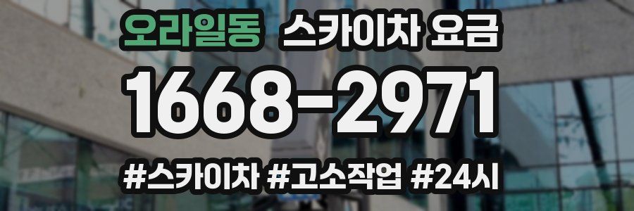 오라일동 스카이차 요금