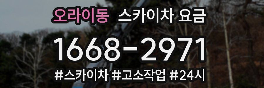 오라이동 스카이차 요금