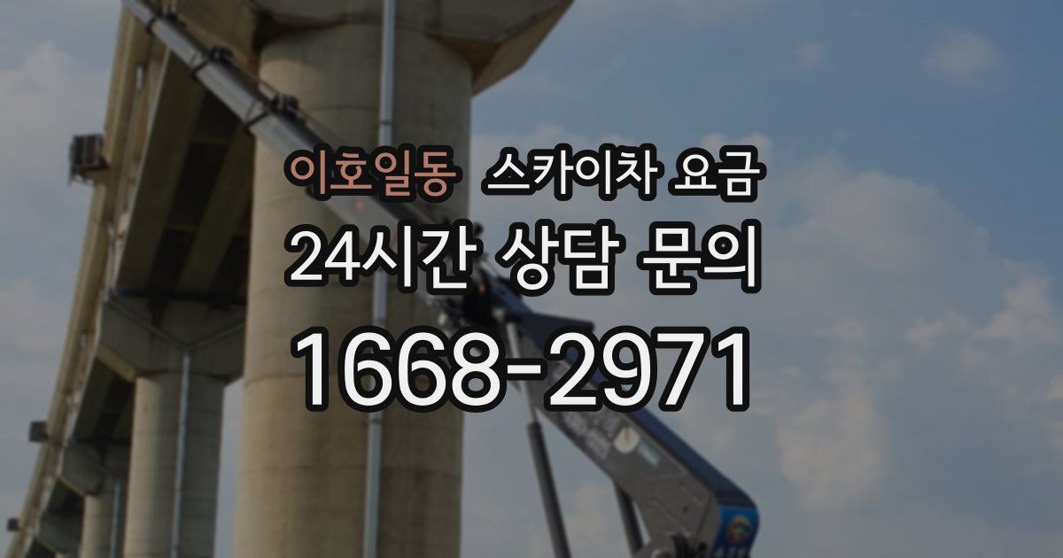 이호일동 스카이차 요금