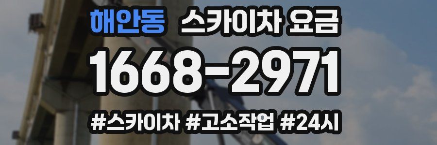 해안동 스카이차 요금