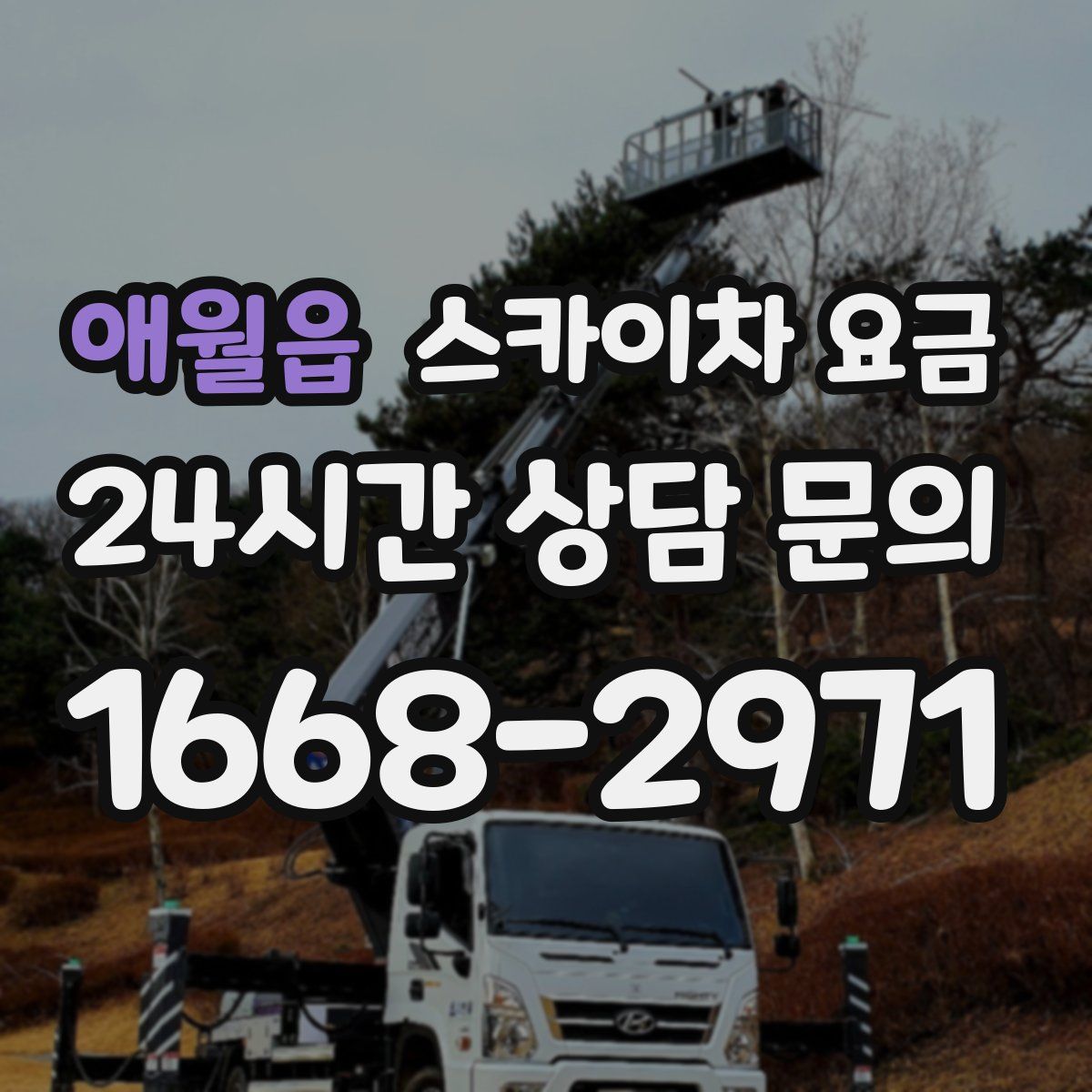 애월읍 스카이차 요금