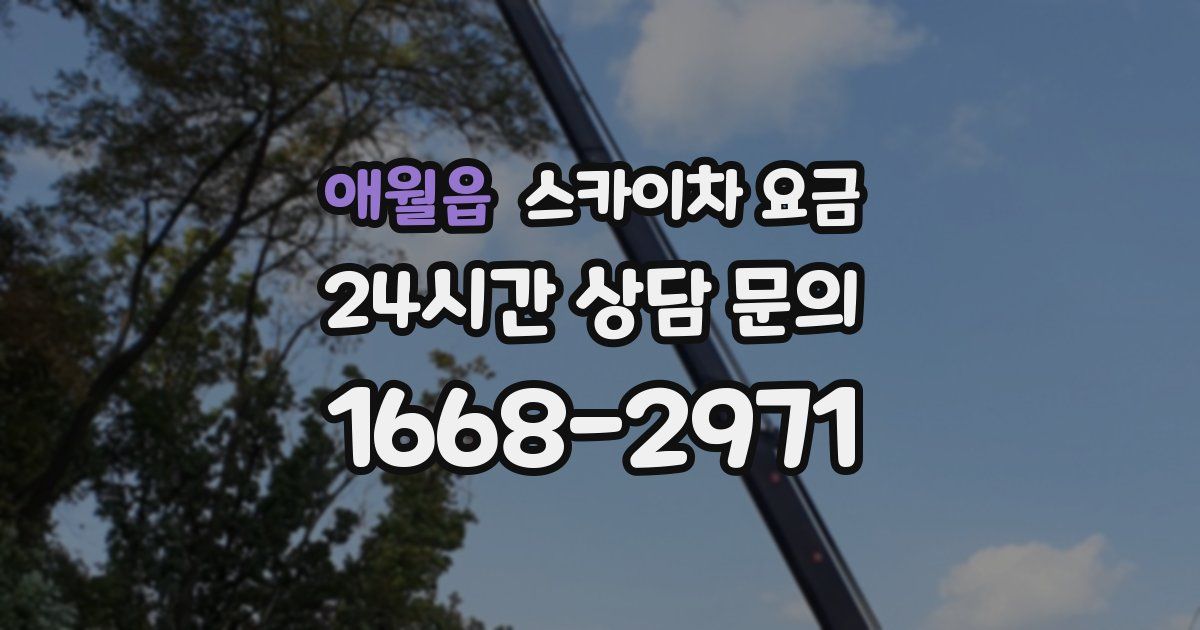 애월읍 스카이차 요금