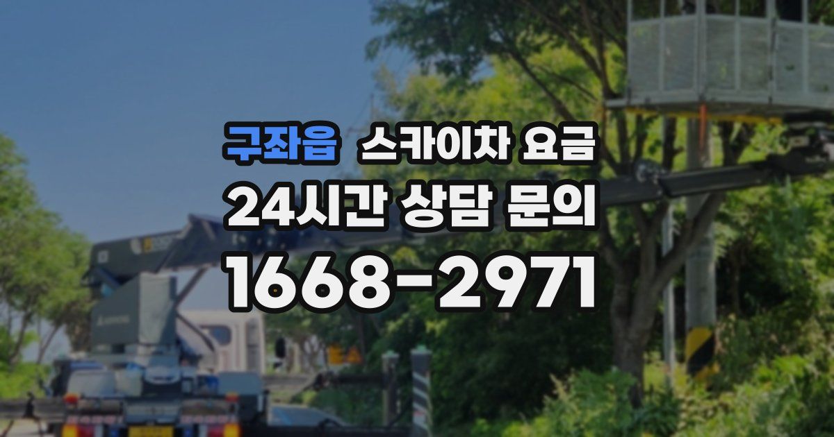 구좌읍 스카이차 요금