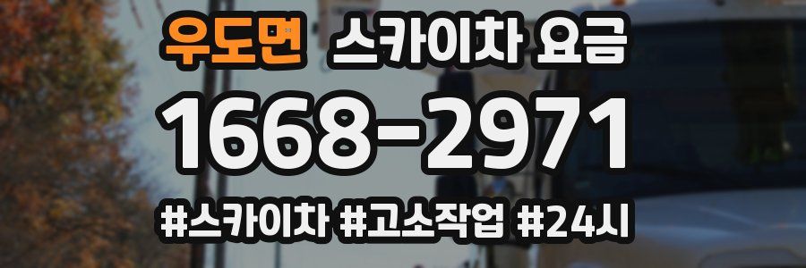 우도면 스카이차 요금