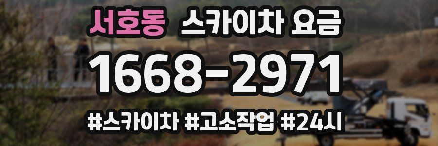 서호동 스카이차 요금