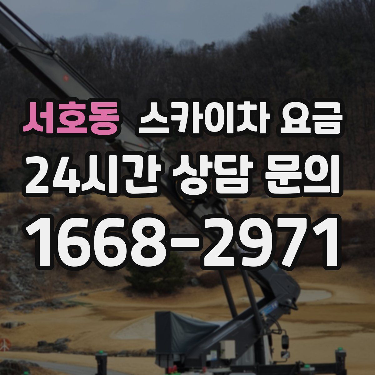 서호동 스카이차 요금