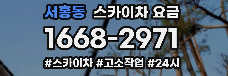 서홍동 스카이차 요금