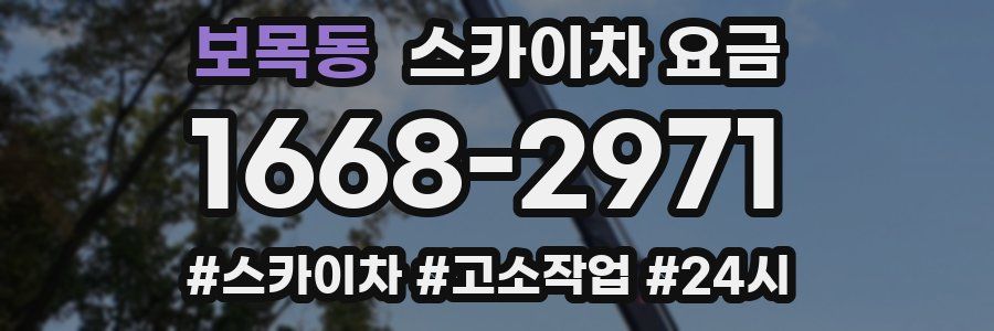 보목동 스카이차 요금