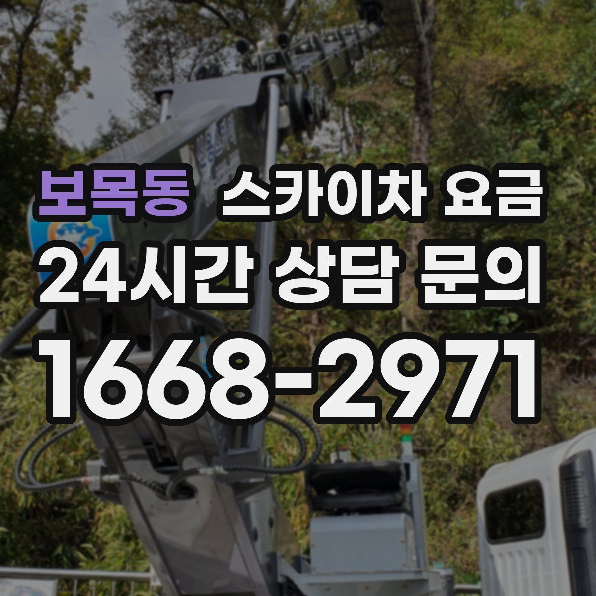 보목동 스카이차 요금
