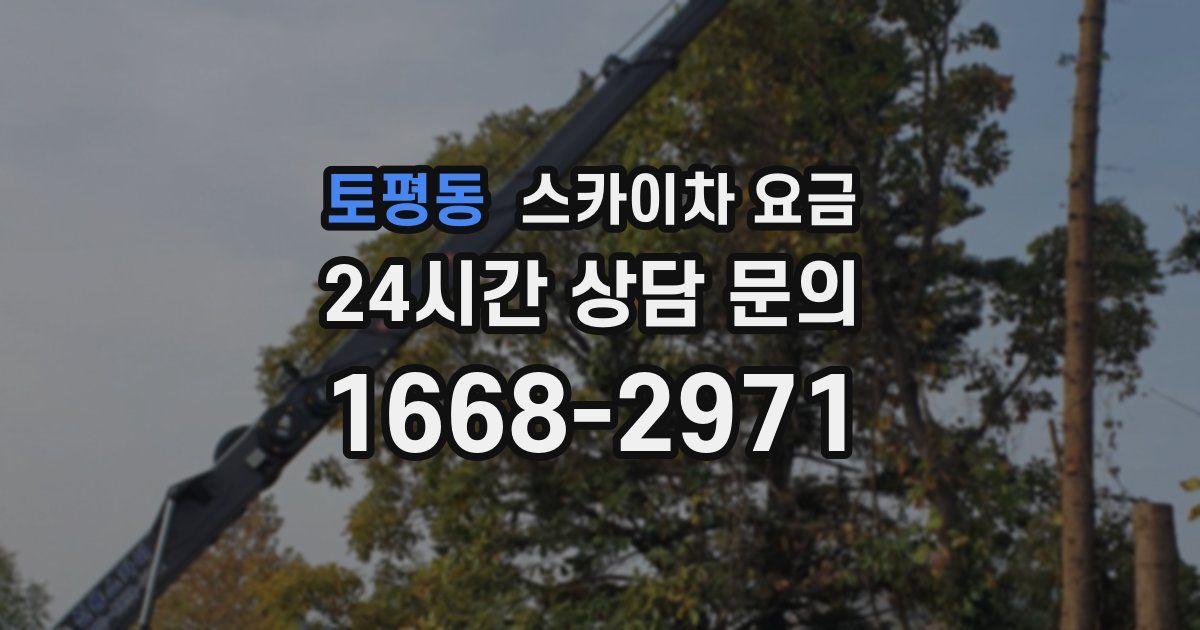 토평동 스카이차 요금