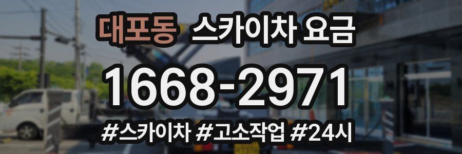 대포동 스카이차 요금