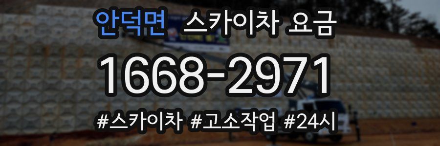 안덕면 스카이차 요금