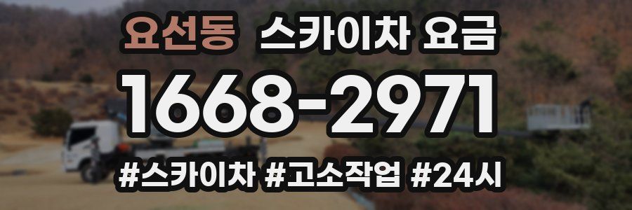 요선동 스카이차 요금