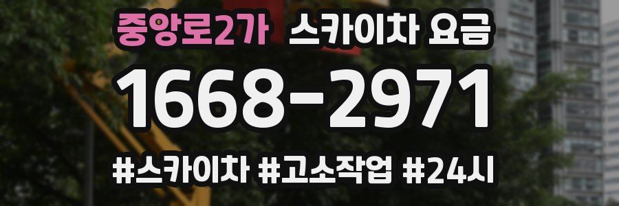 중앙로2가 스카이차 요금