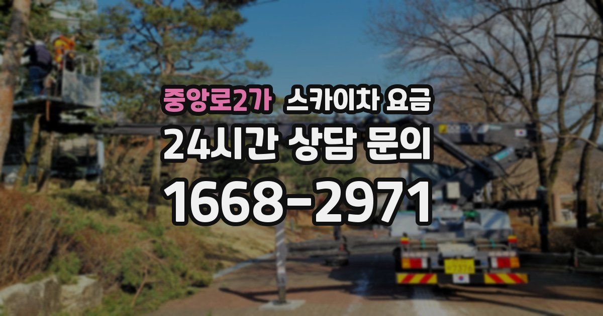 중앙로2가 스카이차 요금