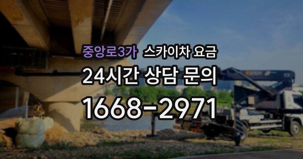 중앙로3가 스카이차 요금
