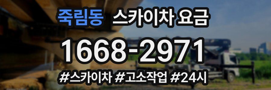 죽림동 스카이차 요금