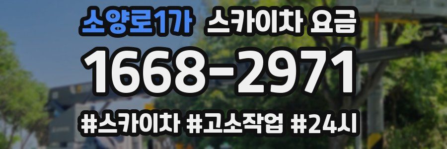 소양로1가 스카이차 요금