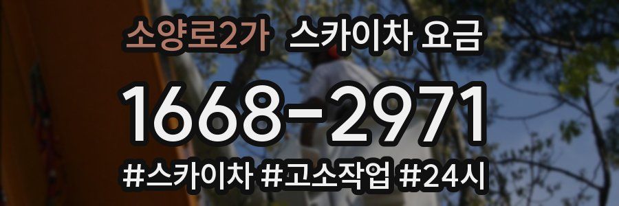 소양로2가 스카이차 요금