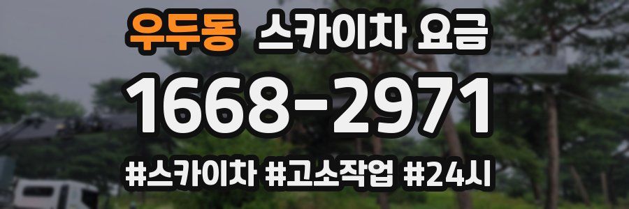 우두동 스카이차 요금