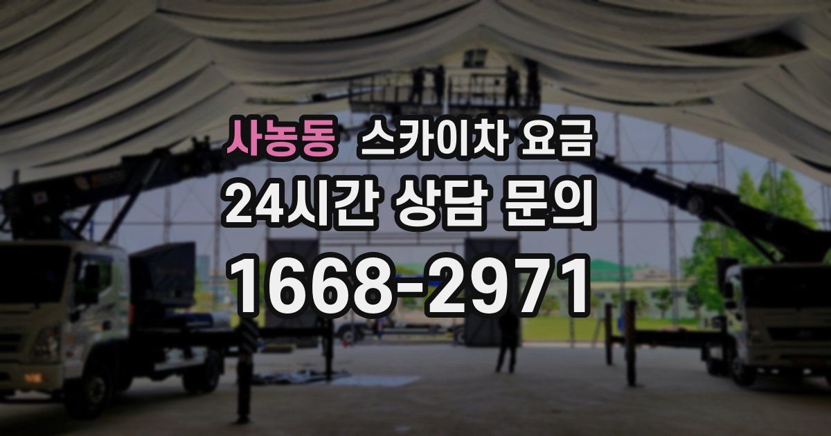 사농동 스카이차 요금