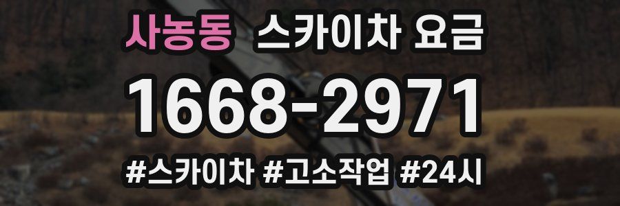 사농동 스카이차 요금