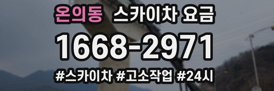 온의동 스카이차 요금