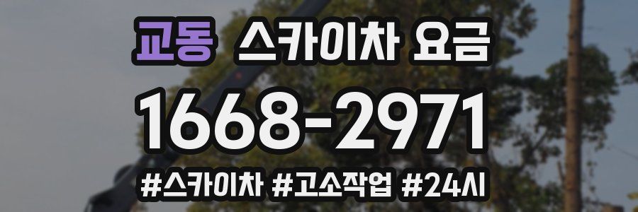 교동 스카이차 요금