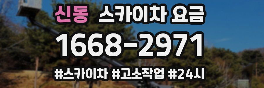 신동 스카이차 요금