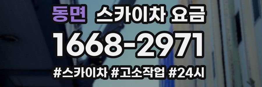 동면 스카이차 요금