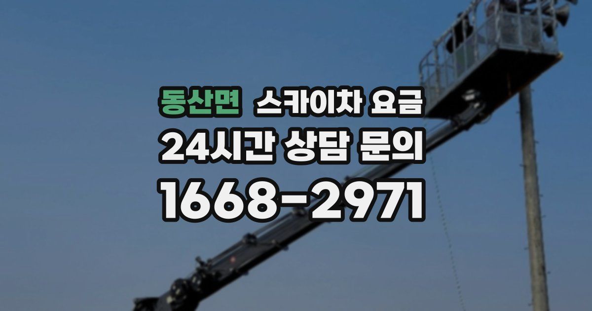 동산면 스카이차 요금