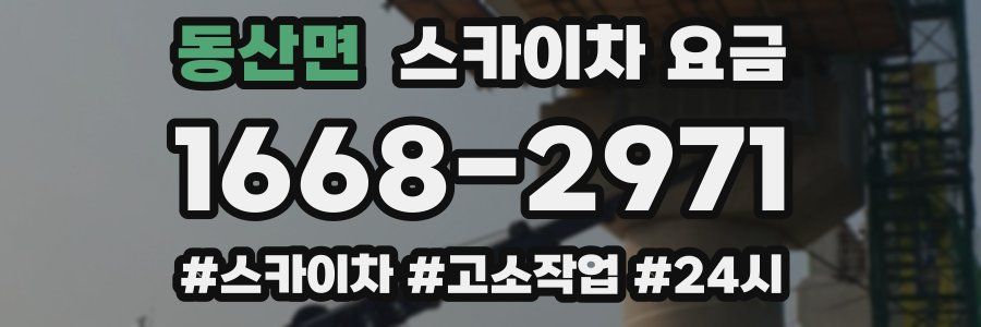 동산면 스카이차 요금