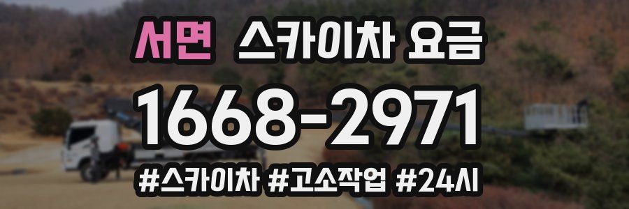 서면 스카이차 요금