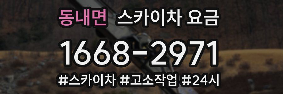 동내면 스카이차 요금