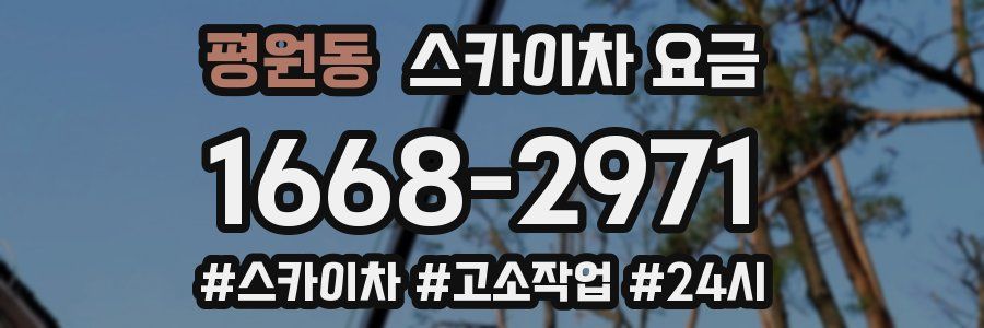 평원동 스카이차 요금