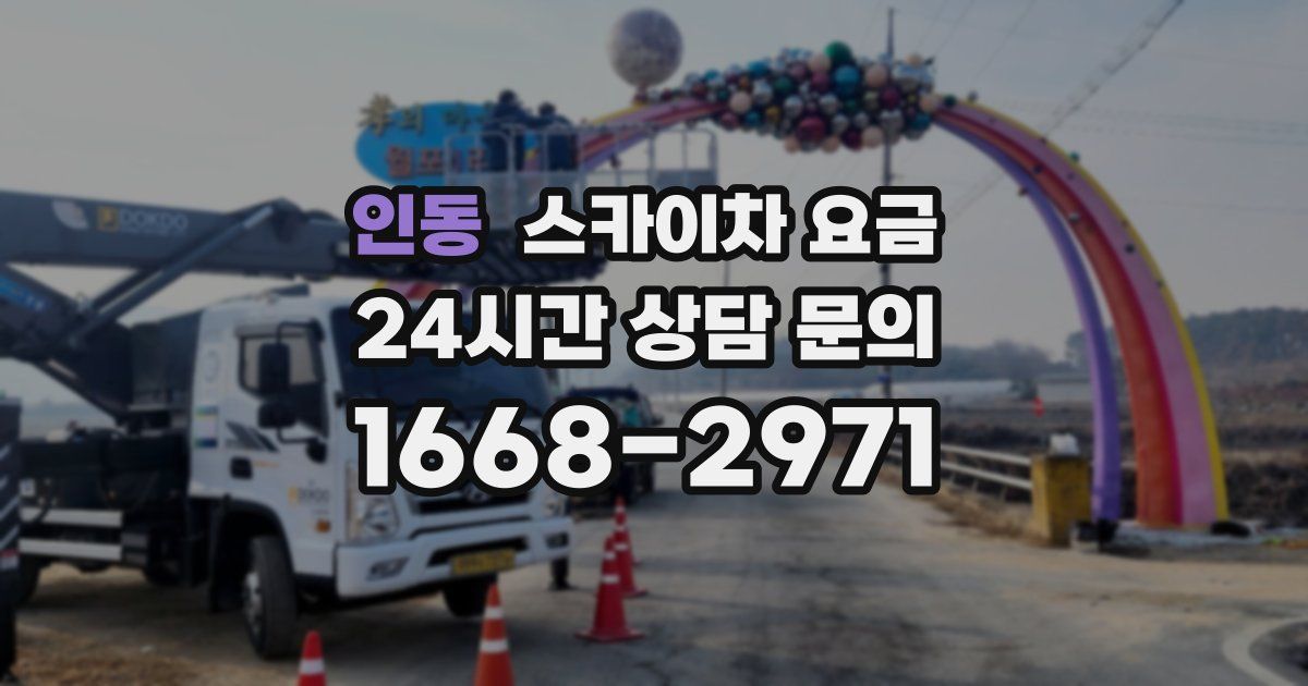 인동 스카이차 요금