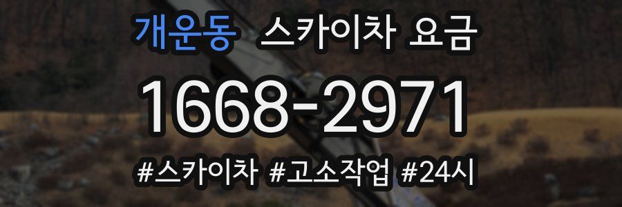 개운동 스카이차 요금