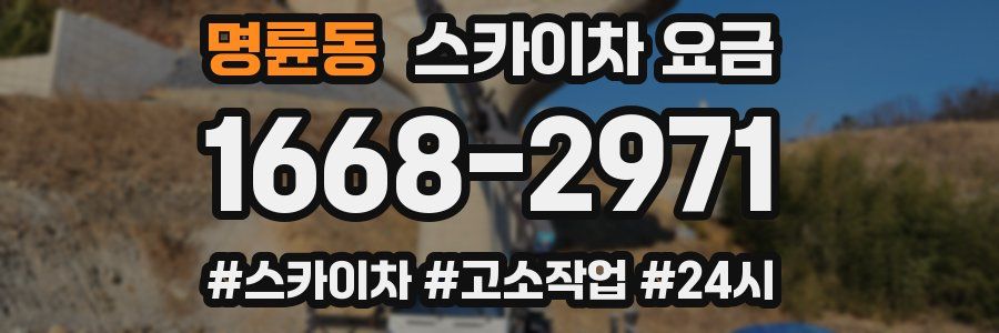 명륜동 스카이차 요금