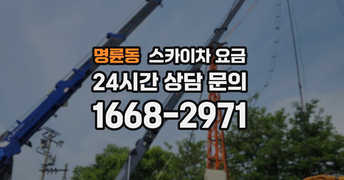 명륜동 스카이차 요금